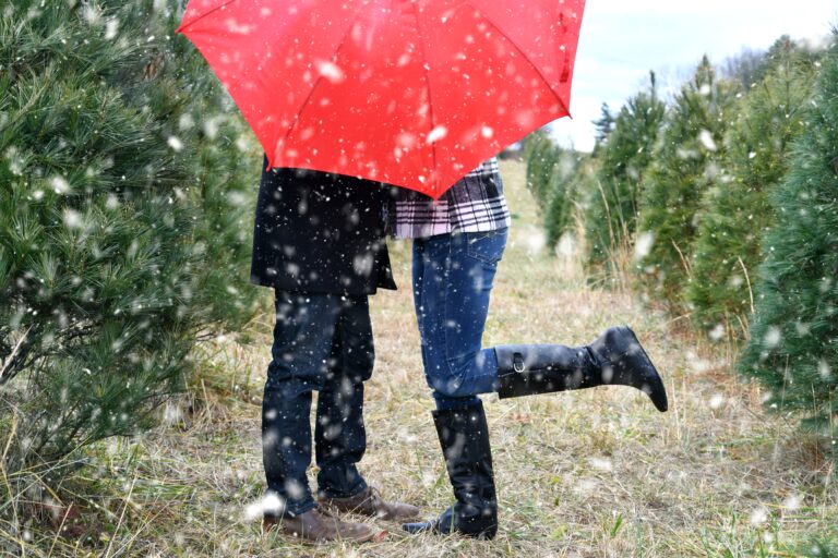 Mappa meteo Italia con previsioni per il 14 febbraio tra sole e nuvole